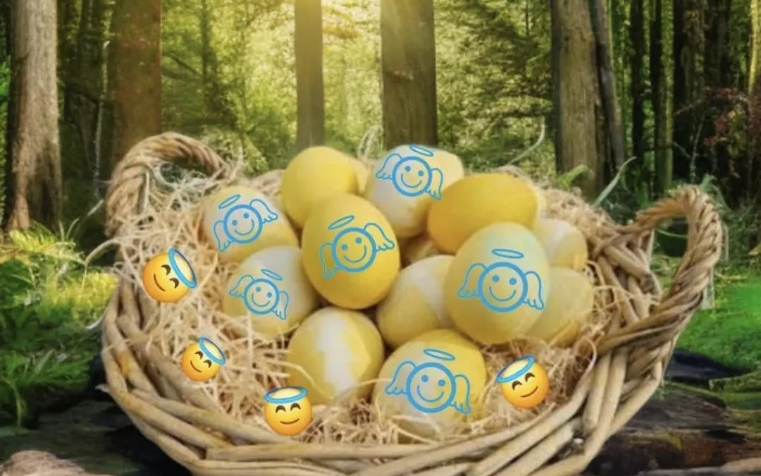  Espérances…🐣