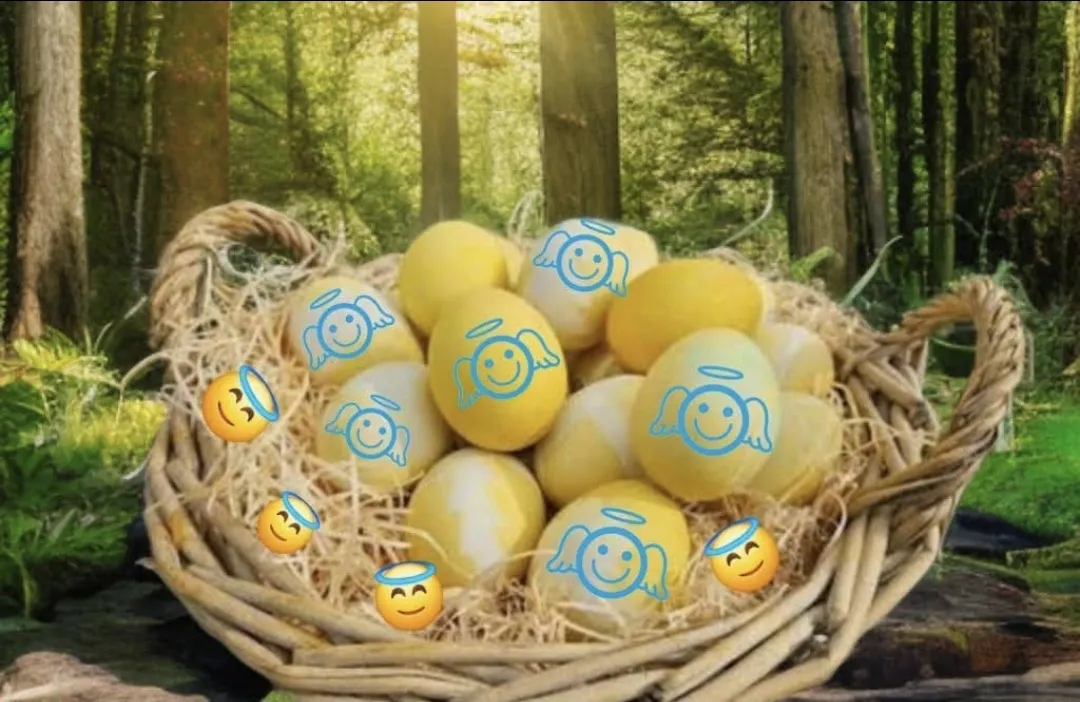 Espérances...🐣